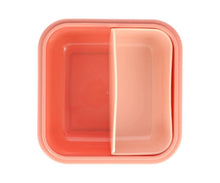 Afbeelding in Gallery-weergave laden, Grote Lunchbox Wilde Feeën