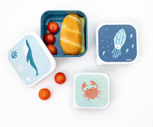 Afbeelding in Gallery-weergave laden, 3 Lunchboxen Dieren Vrienden