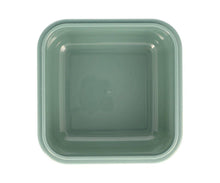 Afbeelding in Gallery-weergave laden, Grote Lunchbox Dino's Wereld