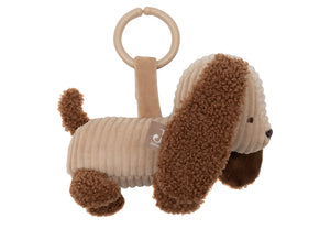 Wagenhanger hond - jollein