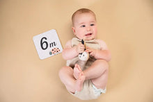 Afbeelding in Gallery-weergave laden, Newborn Black &amp; White Kit
