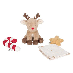 Geschenkdoos kerst - little dutch