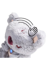 Afbeelding in Gallery-weergave laden, Top Bright - Care Pets - Baby Koala
