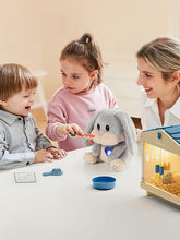Afbeelding in Gallery-weergave laden, Topbright - Care Pets - konijn
